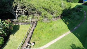 Discover Hidden Gems: Top 3 Nature Trails Near Your Oceanfront Condo